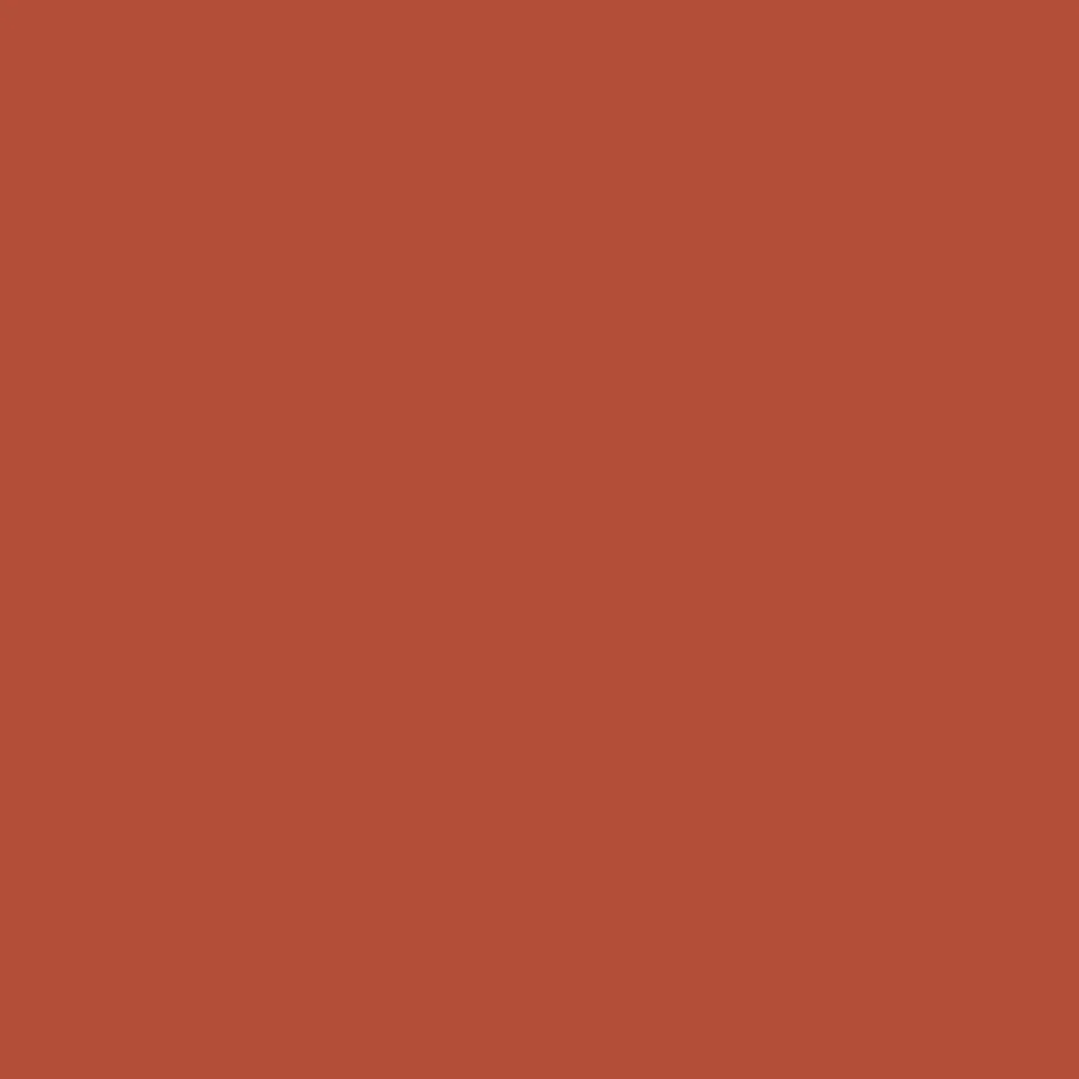 Beyond Organic 5 Panel Cap - Warm Orange - Image 7