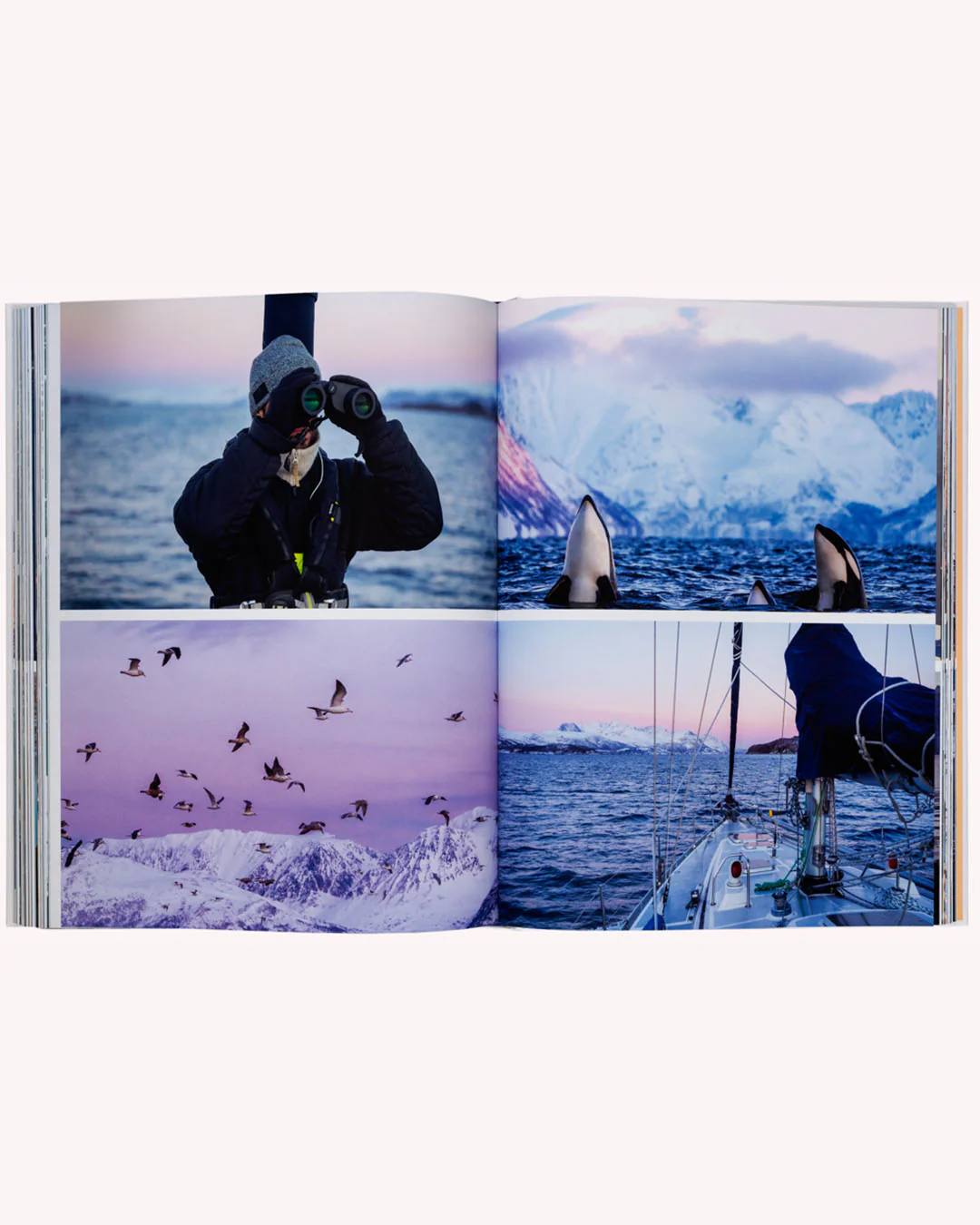 Boatlife - Image 7