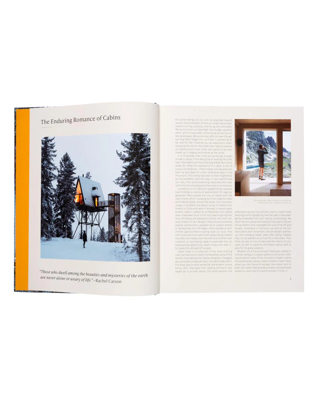 Cabin Fever - Image 3