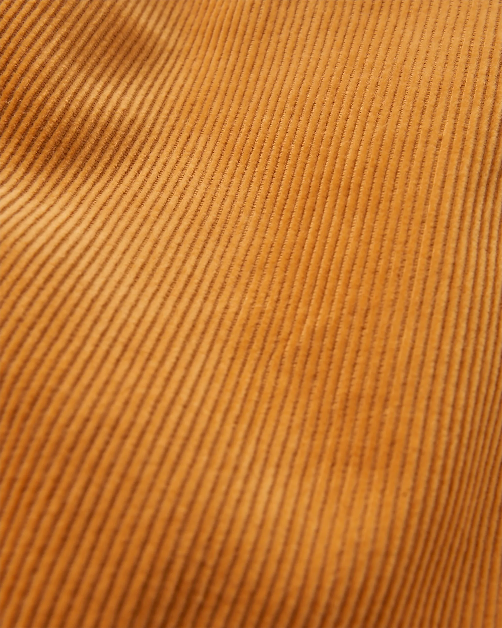 Drifter Cord Short - Spruce Yellow - Image 8