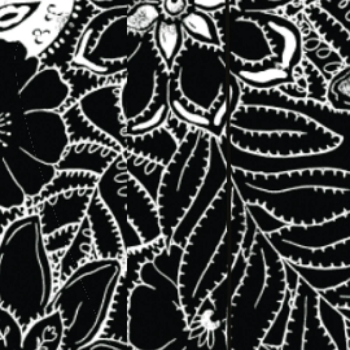 Fresh Air Leggings - Black Floral - Image 7