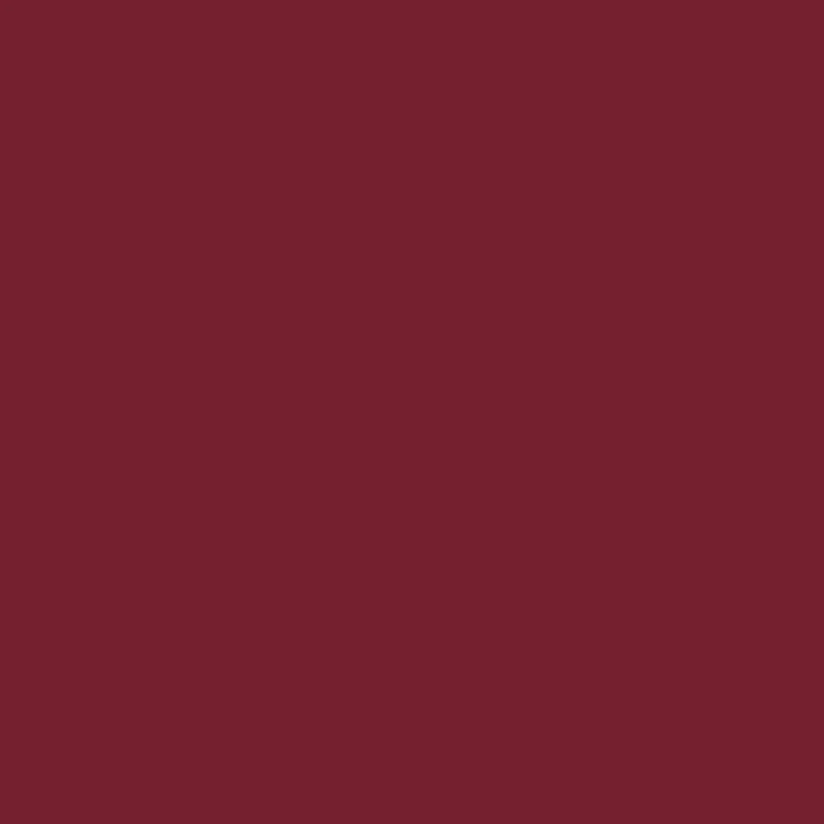 Golden Hour T-Shirt - Earth Red - Image 12