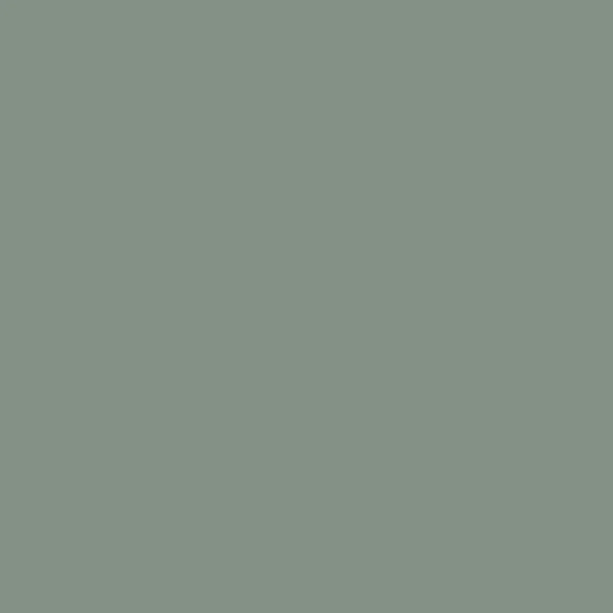Laura All Purpose Short - Pistachio - Image 5