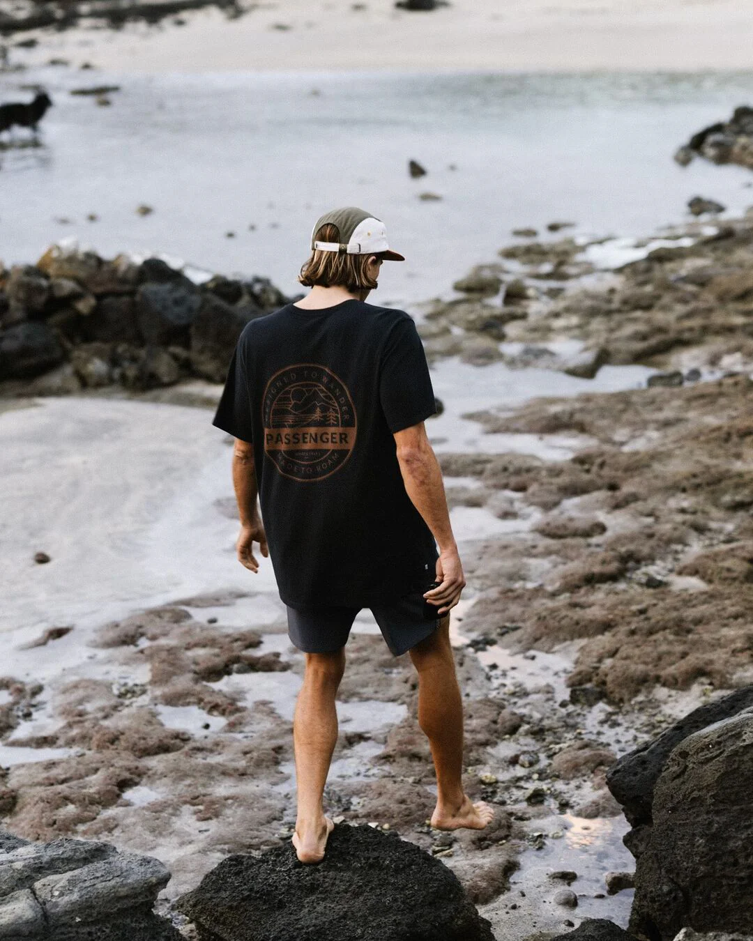Odyssey Organic Cotton T-Shirt - Black - Image 3