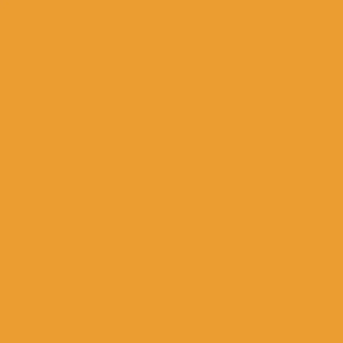 Classic Midweight Crew Socks - Mustard Yellow - Image 5
