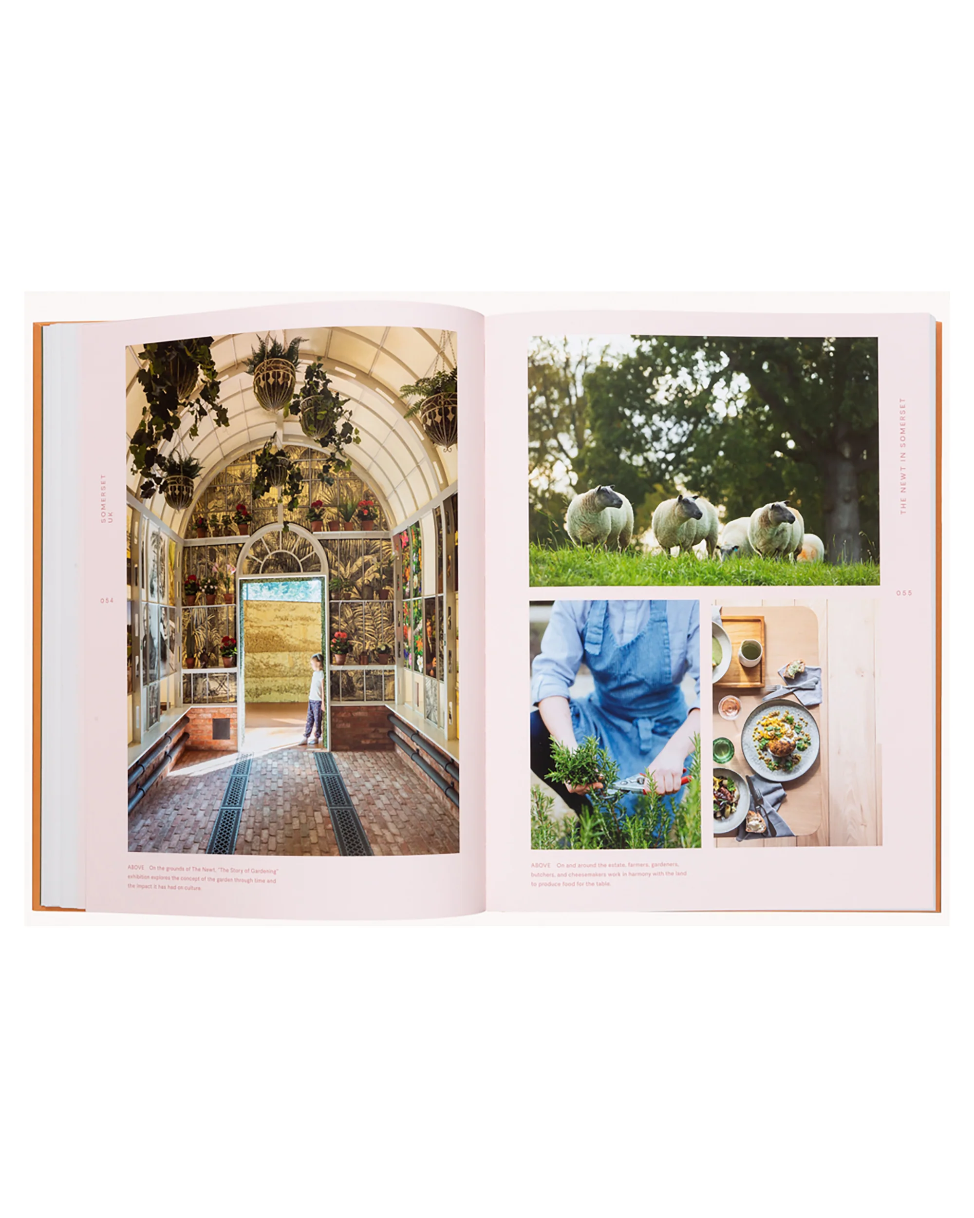 Slow Escapes - Image 6