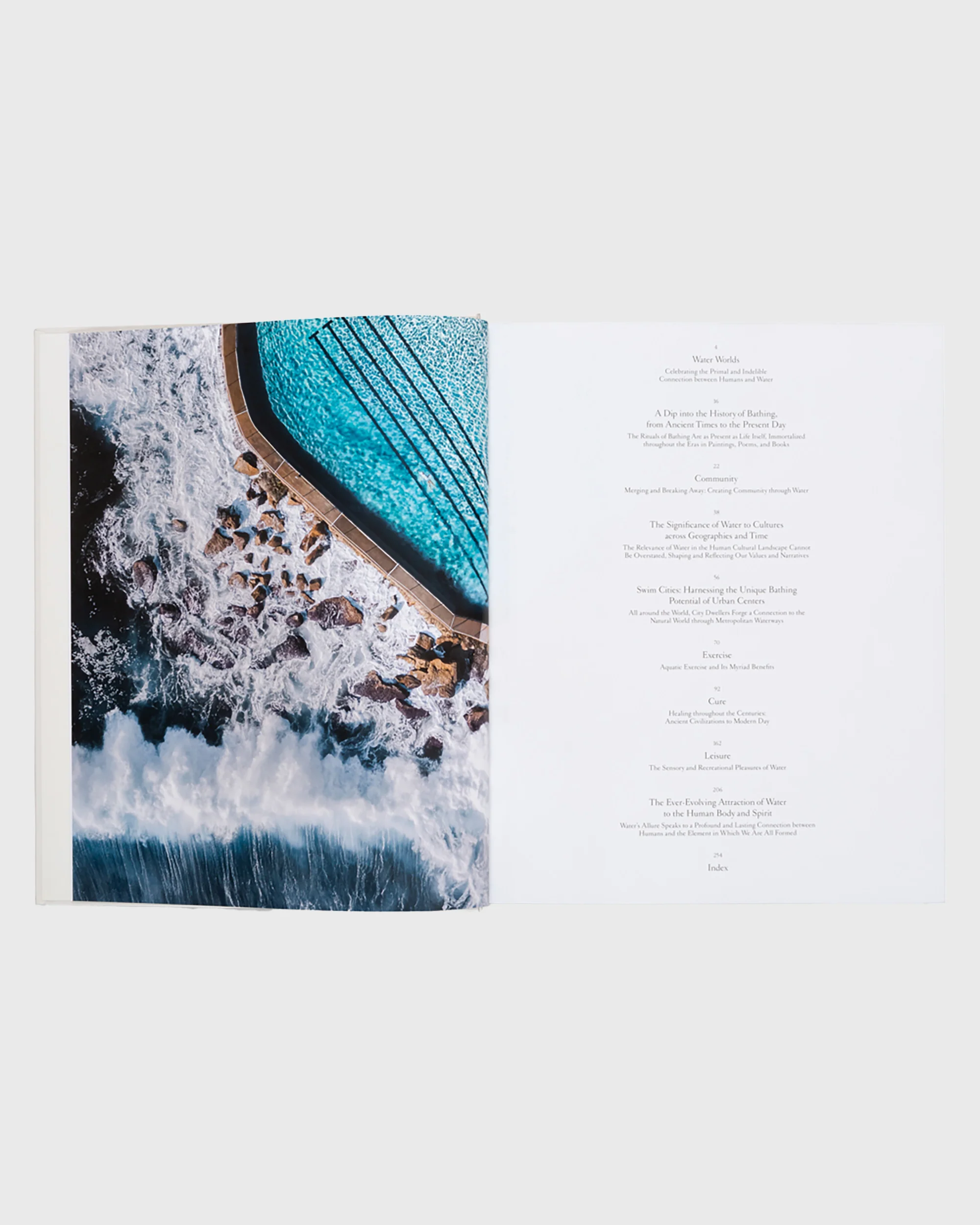 The Nature of Swimming - Image 2