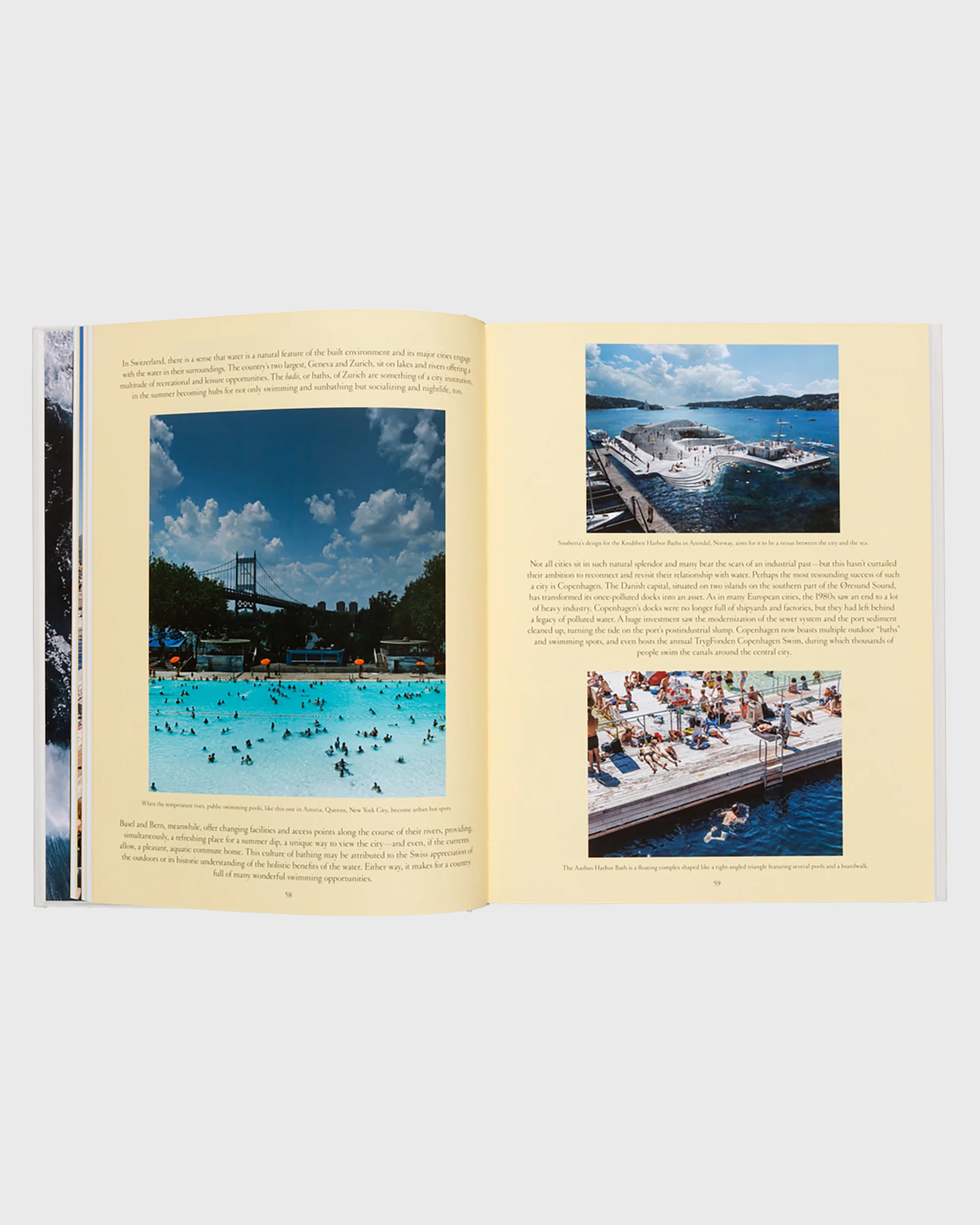 The Nature of Swimming - Image 3