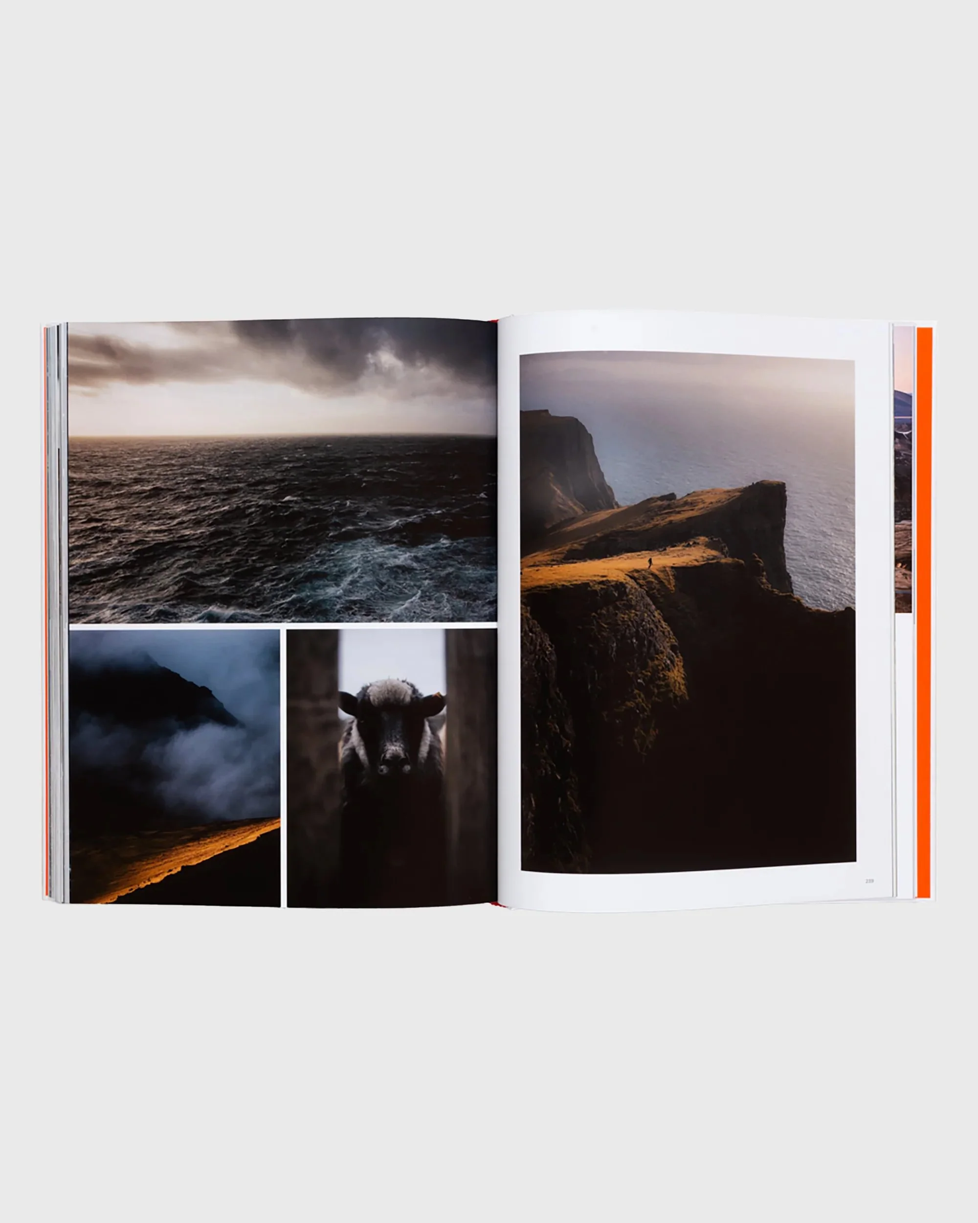 Voyages - Image 7