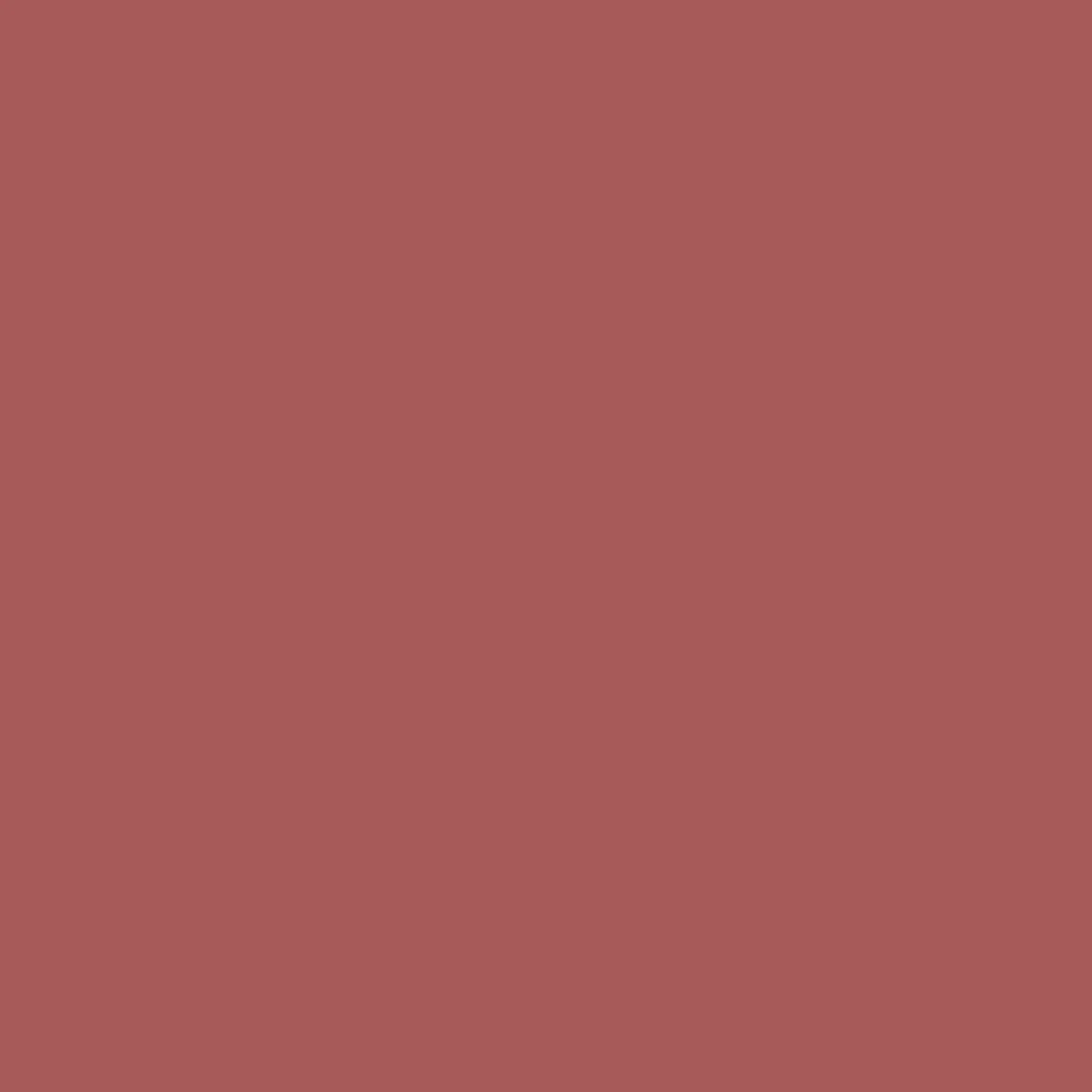 Yuca T-Shirt - Mineral Red - Image 8
